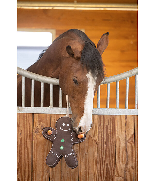 Horse Toy Gingerbread Man