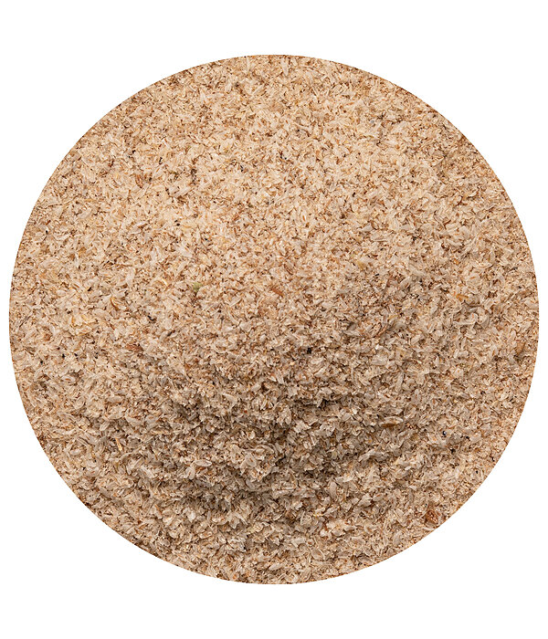 Psyllium Seed