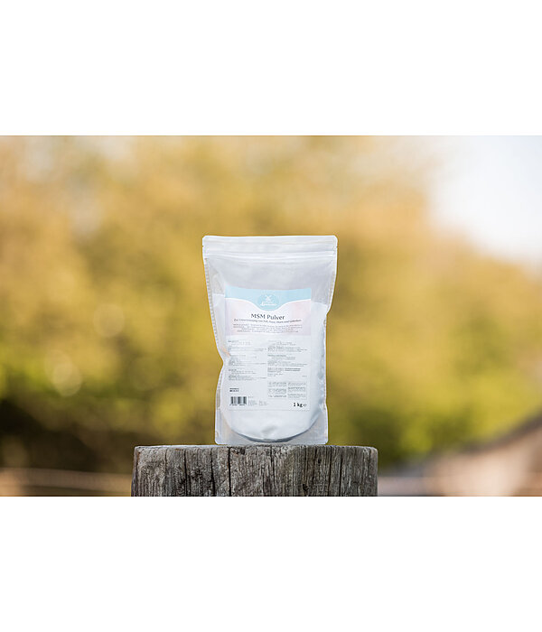 MSM Powder