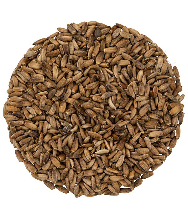 Milk Thistle Seeds