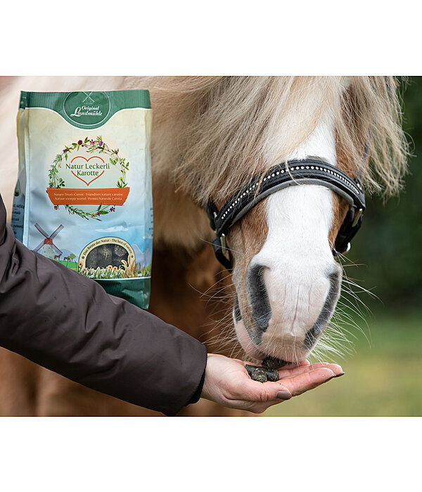 Nature Treats Carrot