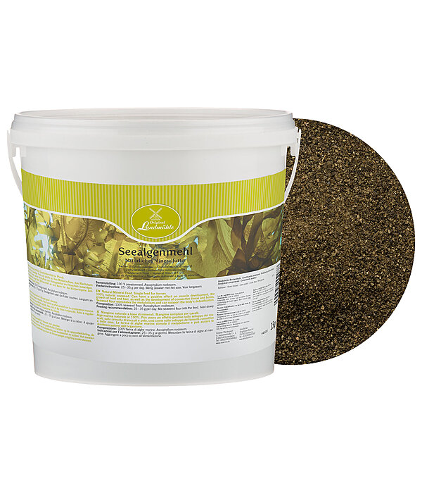 Seaweed Flour