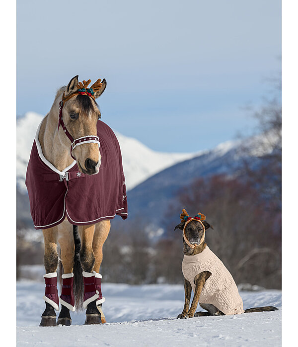 Advent Calendar for Horses