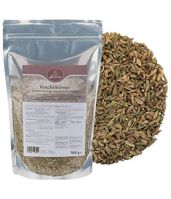 Fennel Seeds