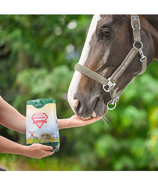 SuperTreats Strong Nerves