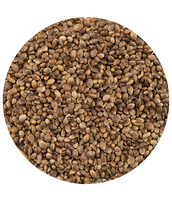 Hemp Seeds