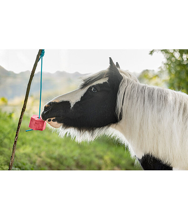 Lolly Lick Watermelon