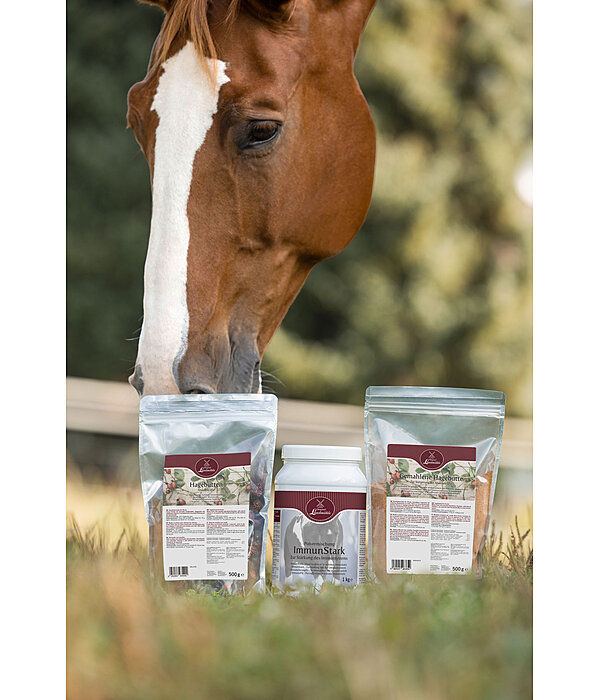 Powder Blend ImmuneStrength