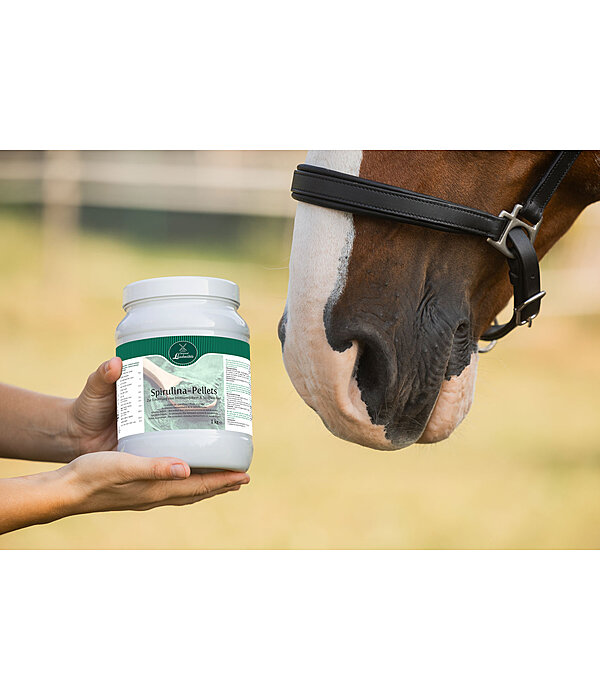 Spirulina Pellets