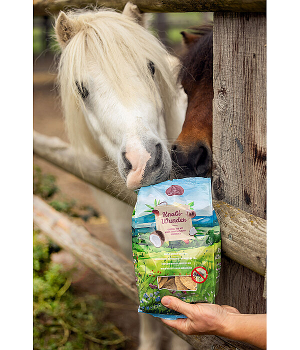 Garlic Wonder Treat Mix