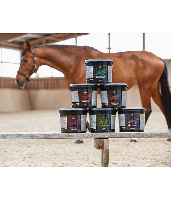 Vitamin and Mineral Supplement Broodmare Premium