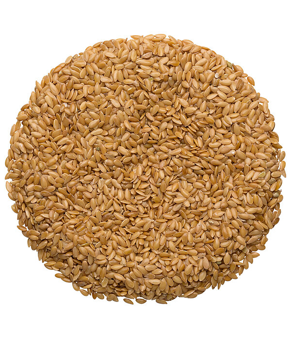 Yellow Linseed