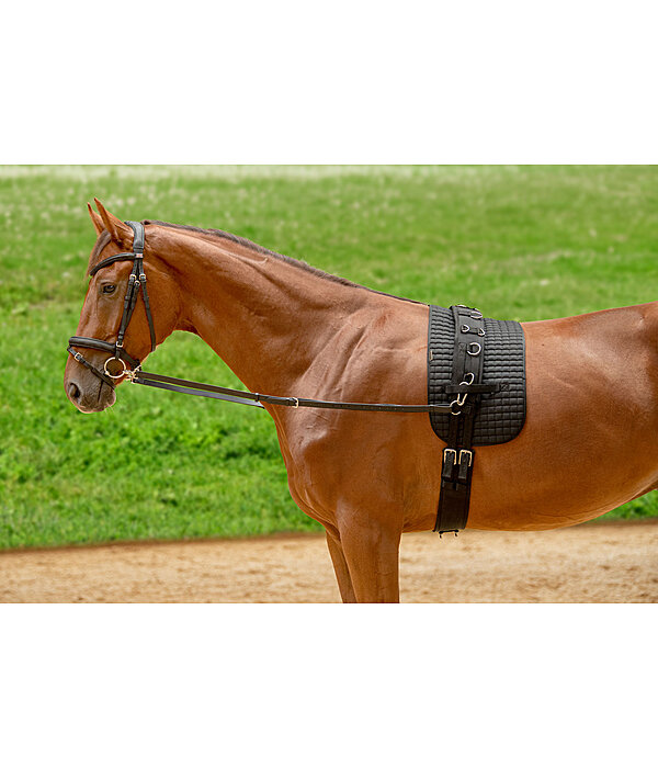 Leather Side Reins without Rubber Rings