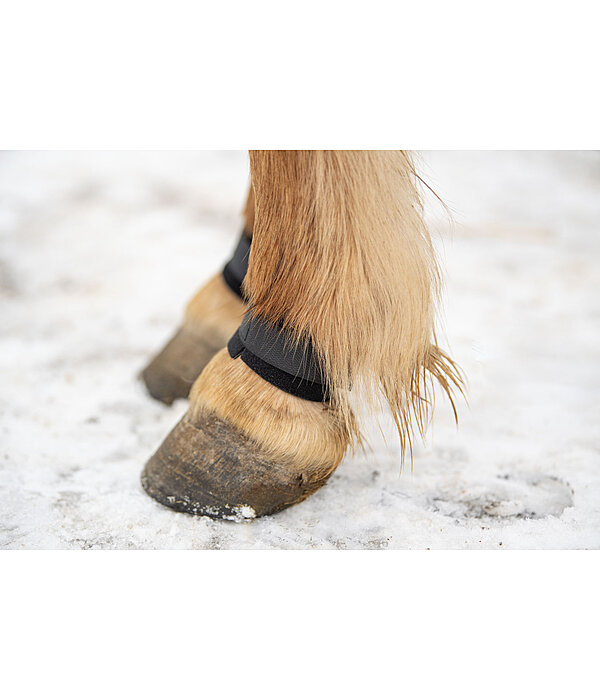 Fetlock Guards