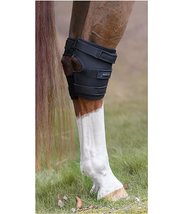 Hock wraps for horses sale