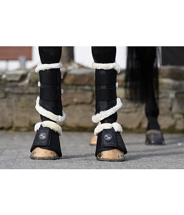   Dressage Boots, Front Legs 