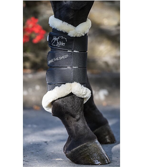 Dressage Boots Save the Sheep, Hind Legs