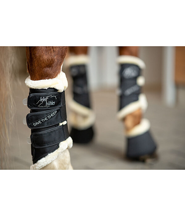 Dressage Boots Save the Sheep, Hind Legs