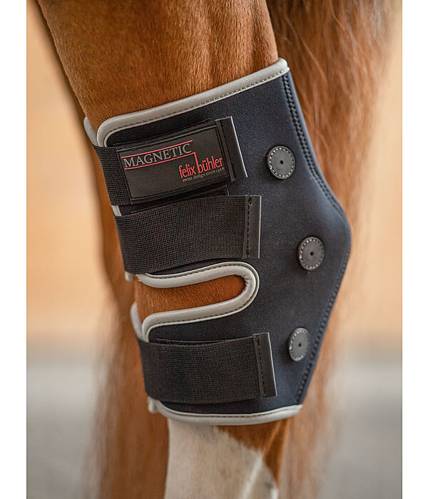 Hock Boots Magnetic Circulation Kramer Equestrian