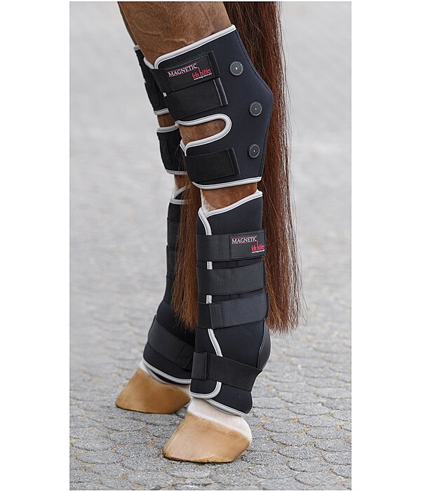 Magnetic hock wraps for horses shop