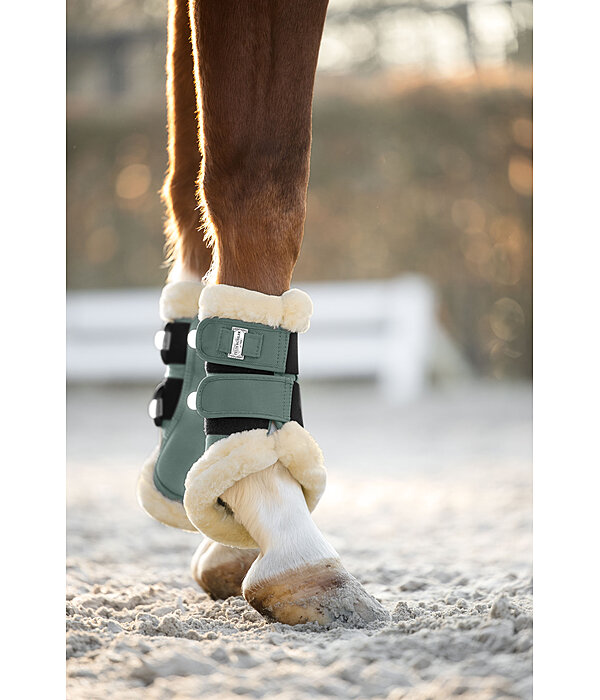 Teddy Fleece Dressage Boots Essential, Front Legs