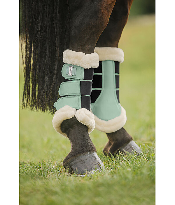 Teddy Fleece Dressage Boots Essential, hind legs