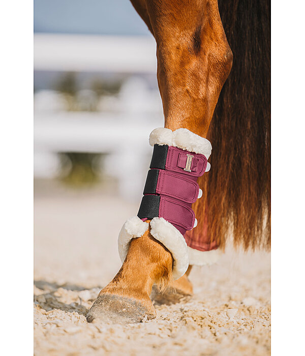Teddy Fleece Dressage Boots Essential, Hind Legs