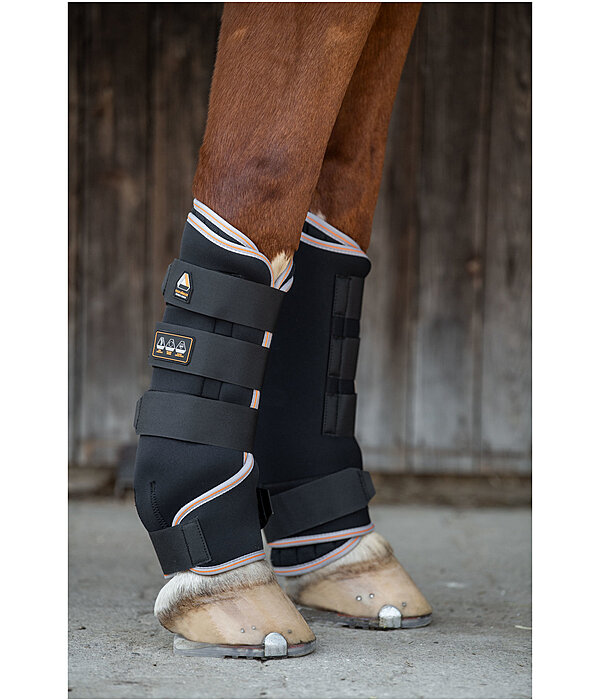 Stable Boots Ceramic Rehab