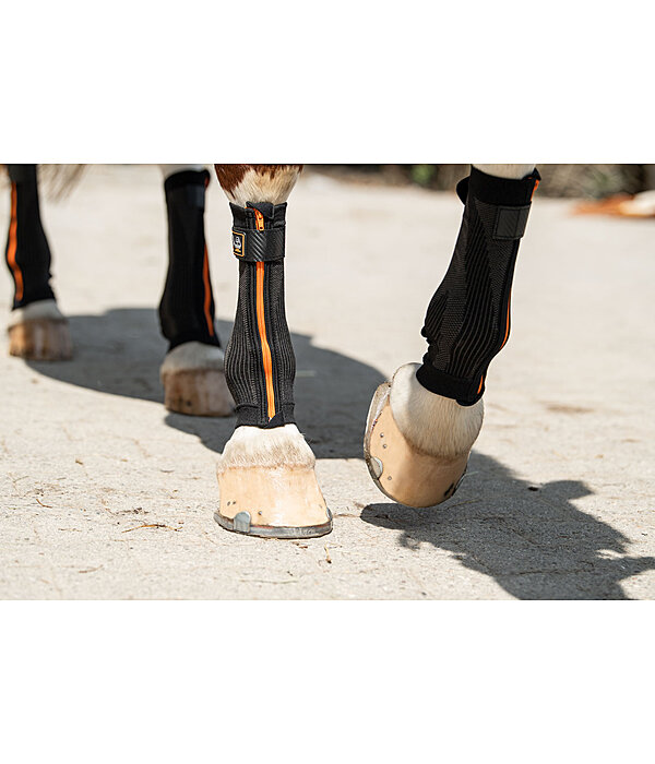 Compression Bandages Ceramic Rehab, Front Legs