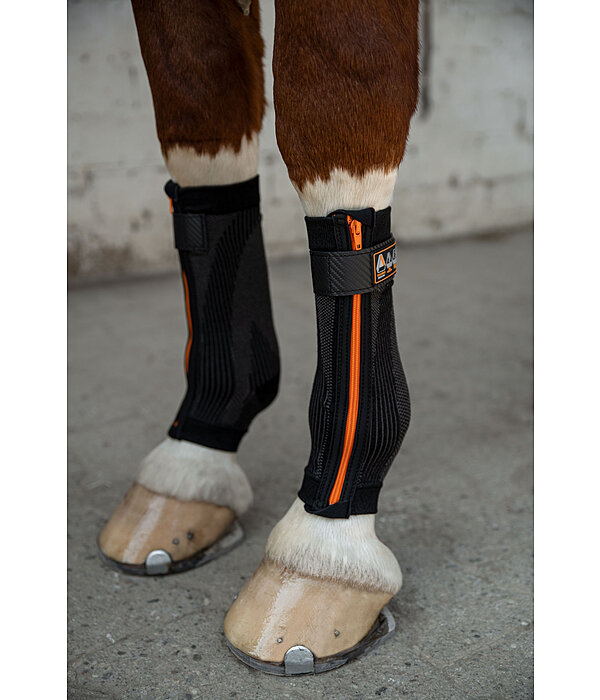 Compression Bandages Ceramic Rehab, Front Legs
