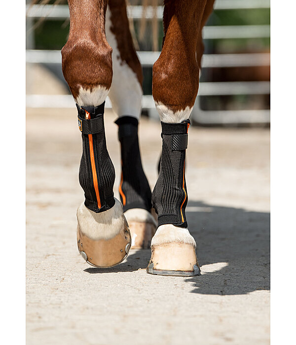 Compression Bandages Ceramic Rehab, Front Legs