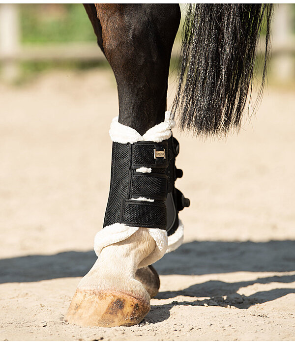 Air Mesh Dressage Boots Everyday, Hind Legs