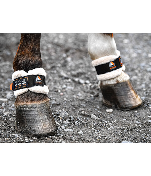 Fetlock Protection Ceramic Rehab