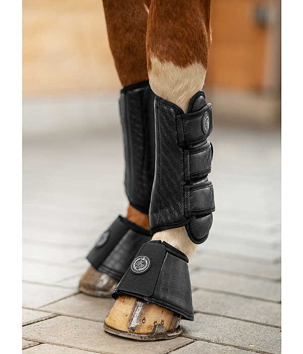 Bell Boots Dressage-Derby