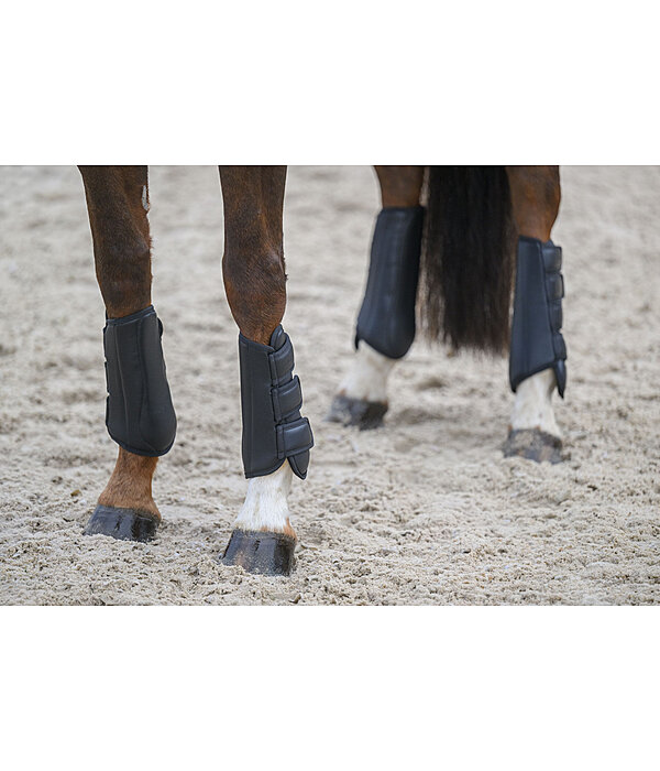 Dressage Boots All Day, Front Legs