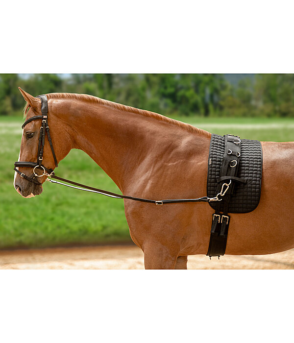 Leather Side Reins