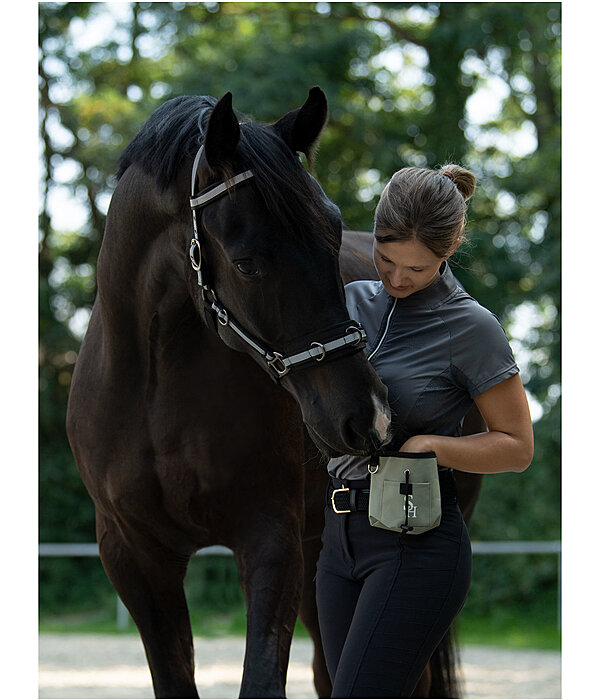 Treat Bag Horse Feed Supplements Kramer Equestrian