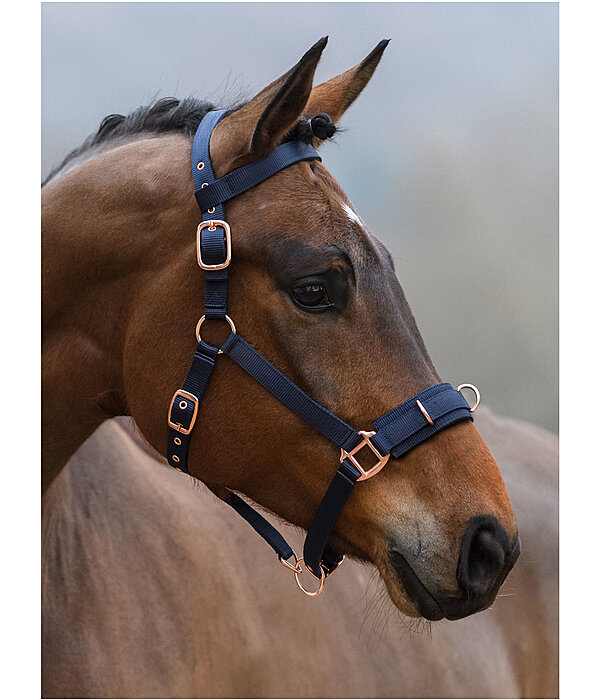 Lungeing Headcollar