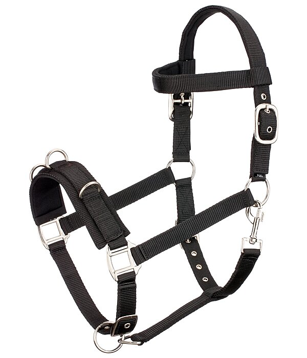 Lungeing Headcollar