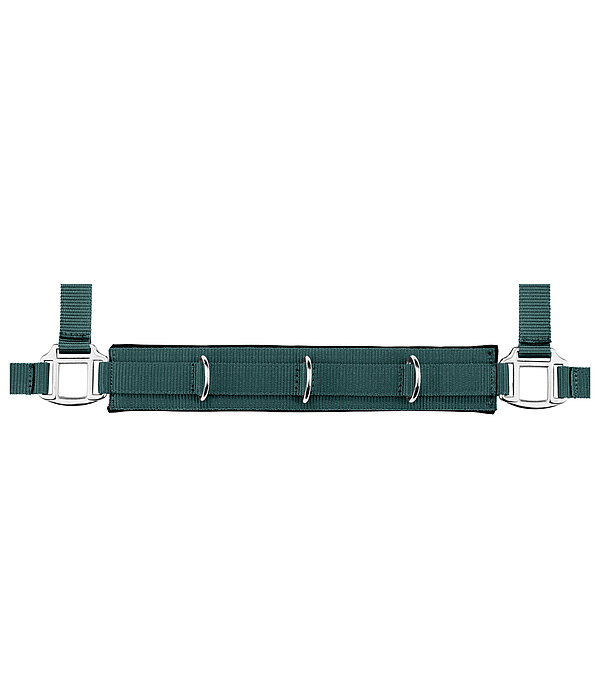 Lungeing Headcollar