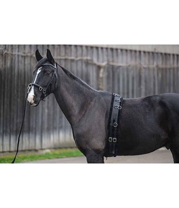 Teddy Fleece Lunge Roller
