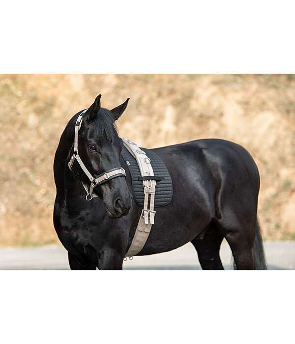 Lungeing Headcollar Freedom