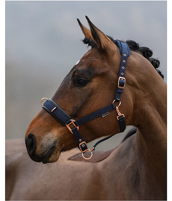 Lungeing Headcollar Freedom