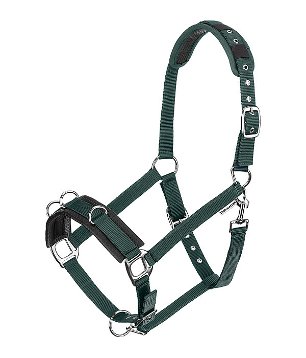 Lungeing Headcollar Freedom