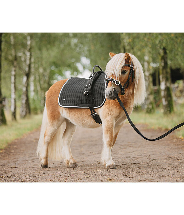 Leather Cavesson Soft & Light