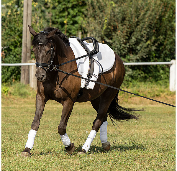 Vaulting Roller Master