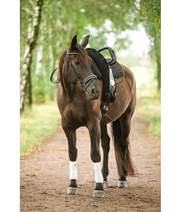 Cover for Vaulting Roller Padding