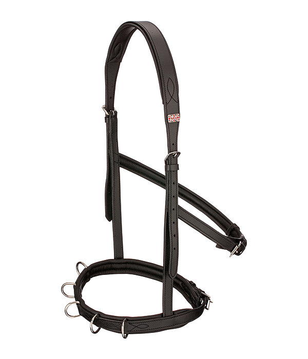 Leather Cavesson Five