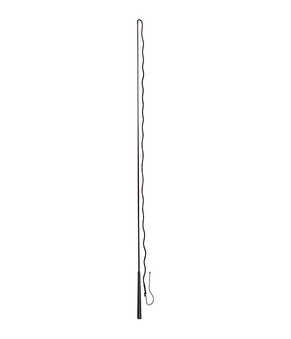 Lungeing Whip