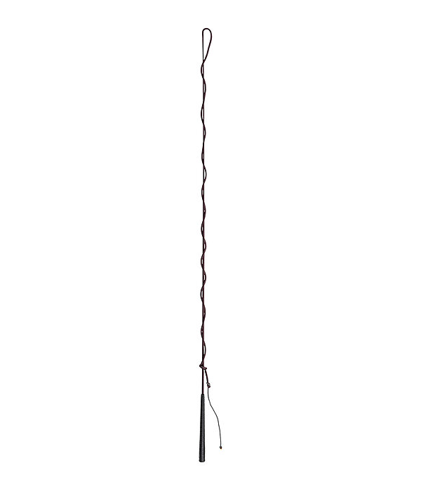 Lungeing Whip